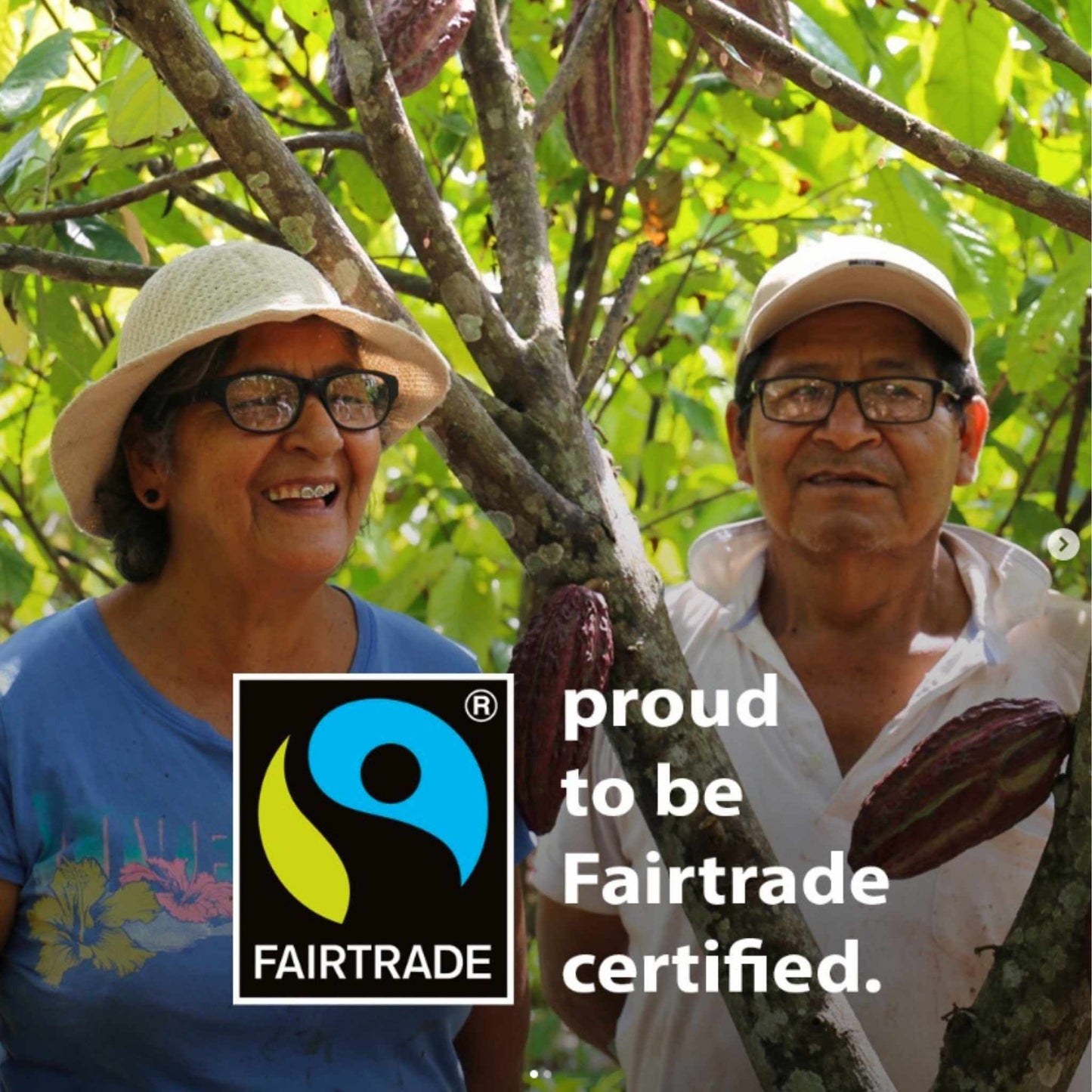 Award-winning Vegan Chocolate - Raspberries in Dark