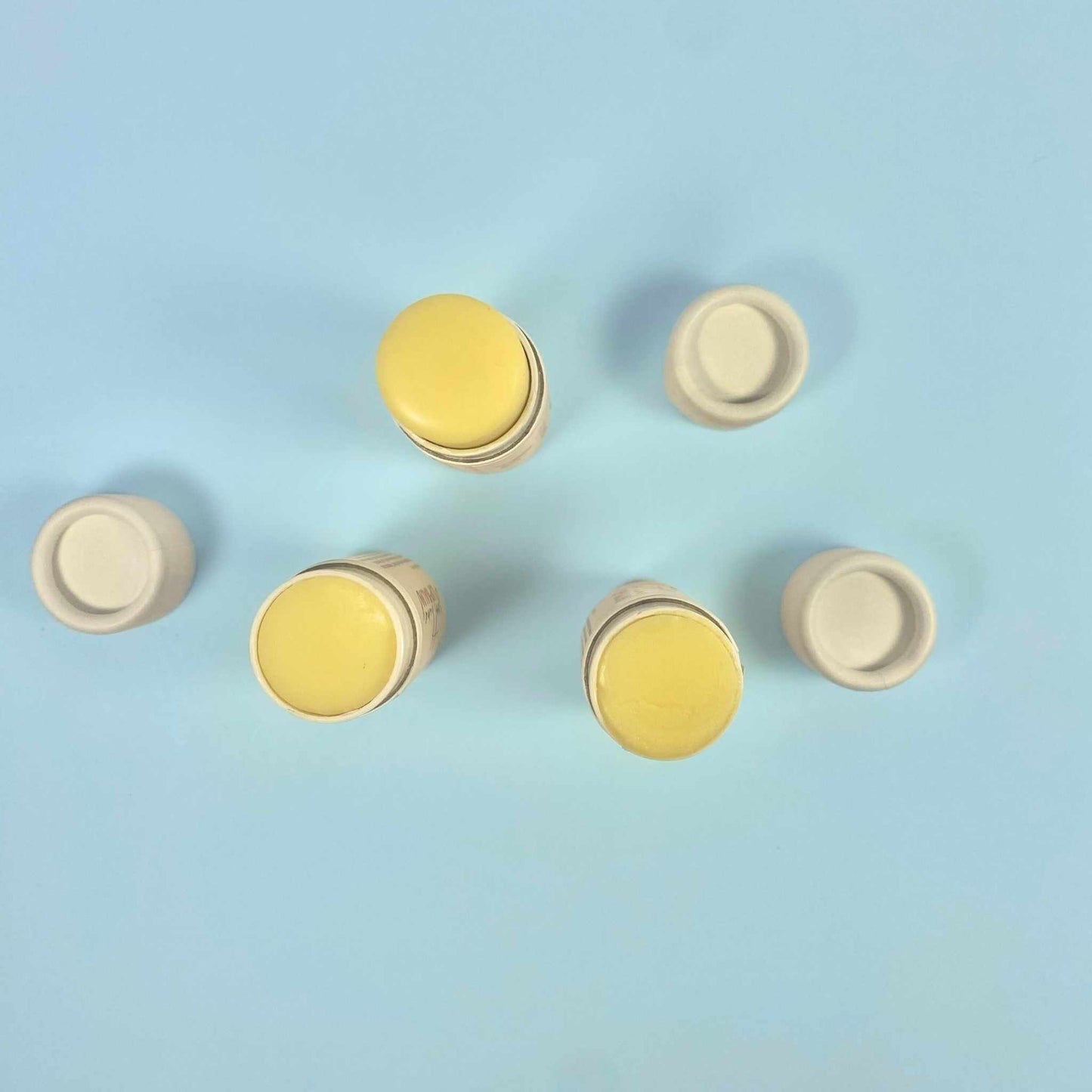 Organic Shea & Cocoa Butter Lip Balm